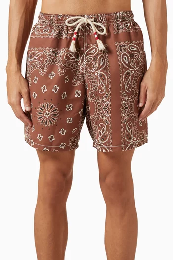 Caprese Printed Swim Shorts
