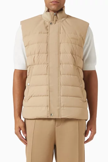 Brody Quilted Vest Jacket in Nylon