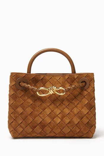 Mini Andiamo Top Handle Bag in Intrecciato Suede