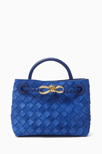 Mini Andiamo Top Handle Bag in Intrecciato Suede