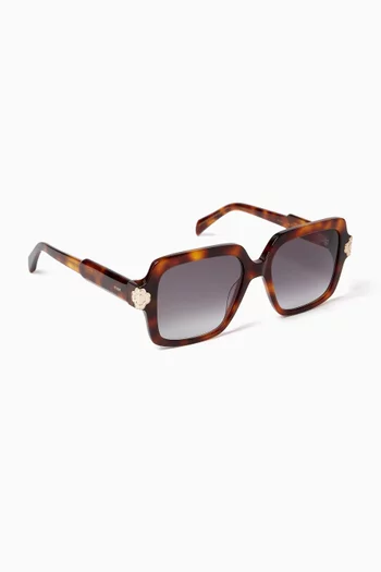 Square Sunglasses in Acetate