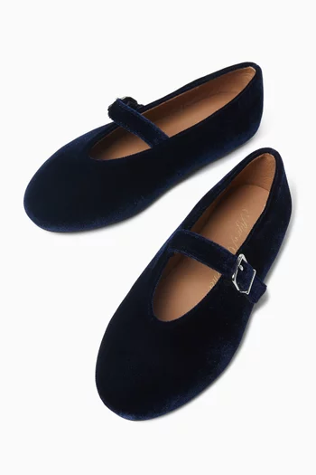 Sydney Ballerina Flats in Velvet