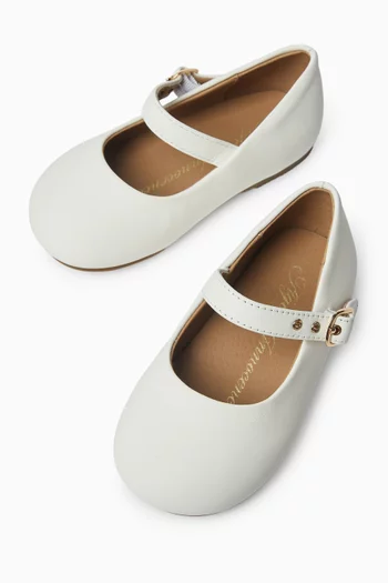 Eva Ballerina Shoes in Leather