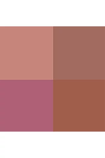 29 Euphoric Rosé Runway Eye Color Quad Poudre, 11g