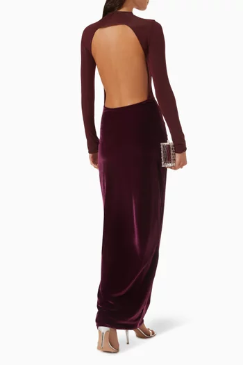 Borelli Floral-appliqué Dress in Velvet