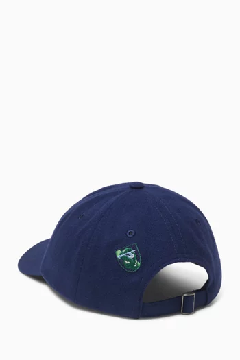 Crest Baseball Cap in Merino Wool
