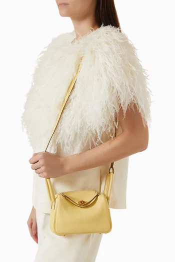 Mini Lindy Bag in Clemence Leather