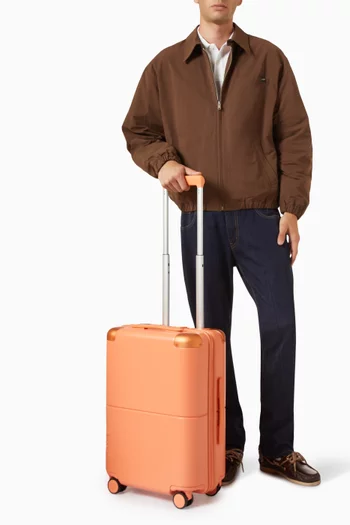 Carry On Casesafe Suitcase