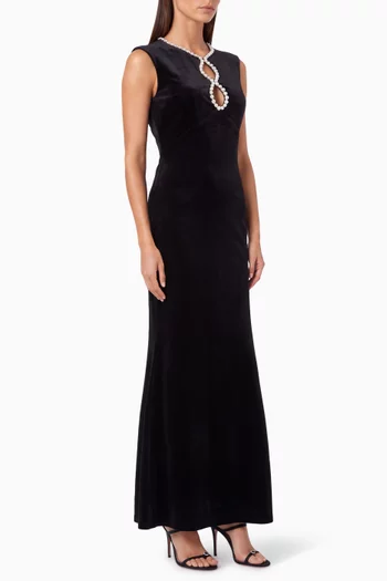 Lyra Embellished Dress in Velvet
