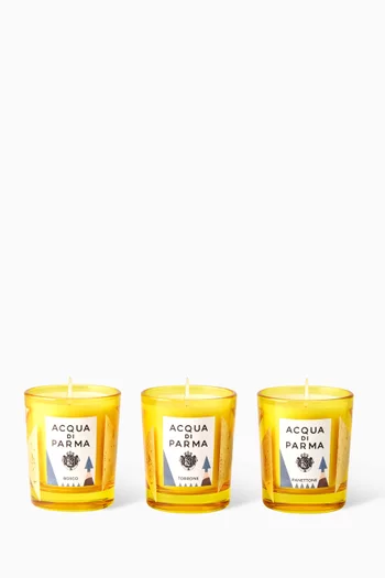 Holiday 2026 Candle Trio Gift Set