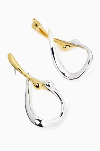 Egret Two-tone Hoop Earrings in Metal