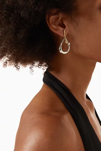 Egret Two-tone Hoop Earrings in Metal