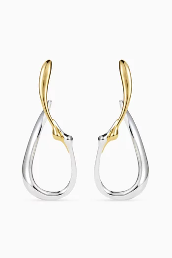 Egret Two-tone Hoop Earrings in Metal