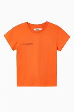 Persimmon Orange