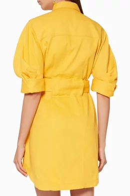 Acler priestly denim dress hot sale