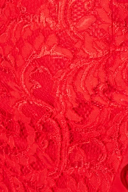 Buy Alexis Red Red Fala Lace Dress For Women Online | Ounass Oman