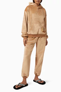 Buy Alexander Wang Brown Hoodie in Bonded Velvet For Women Online 