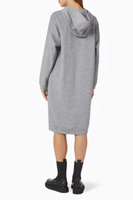 Max mara hooded dress 2025