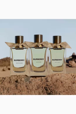 Buy Burberry Beauty Colourless Extreme Botanicals Oud Storm Eau de Parfum 100ml For UNISEX Online Ounass Oman