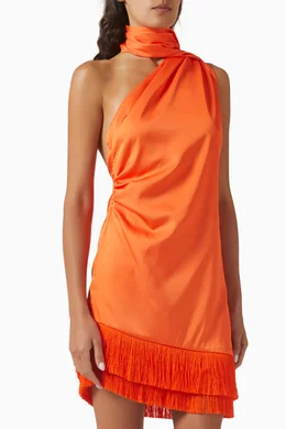 baobab ari mini dress Ari Mini Dress