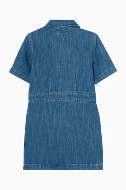 sachin and babi light blue dress Embroidered Flower Stripe Shirtdress
