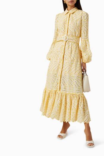 hover state of Fable Embroidered Shirt Dress in Cotton