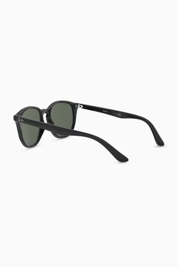 RJ9070S Classic Sunglasses    