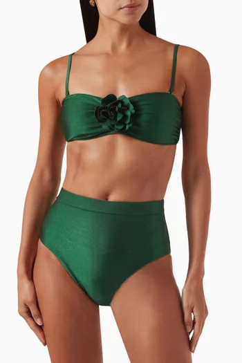 Waverly High-waist Bikini Briefs in Lycra
