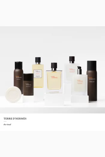 Terre d'Hermès Deodorant Spray, 150ml
