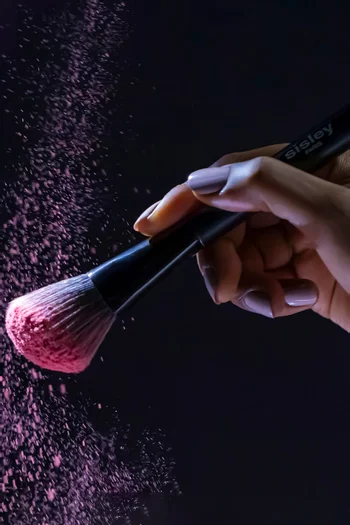 فرشاة أحمر الخدود