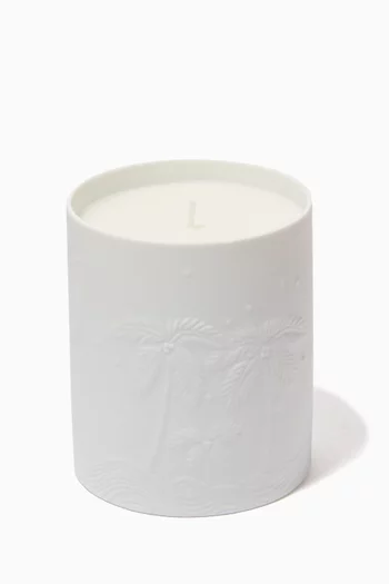 Haas Mojave Palm Candle   