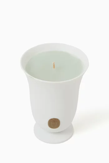 Bois Vert Candle, 270g