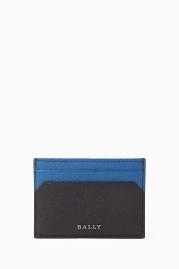 Bhar Card Holder in Leather