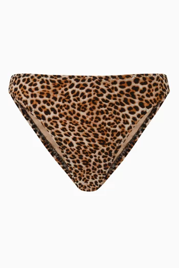 Luca Leopard Print Bikini Bottoms in Stretch-nylon