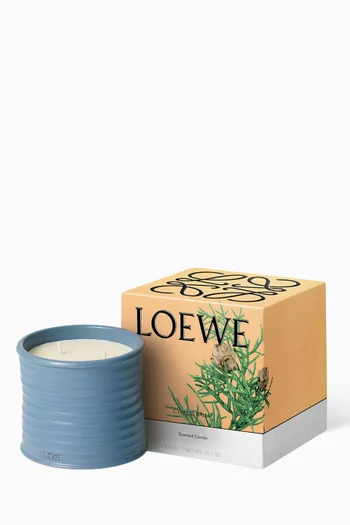شمعة معطرة سيبرس بولز متوسطة، 610 غرام