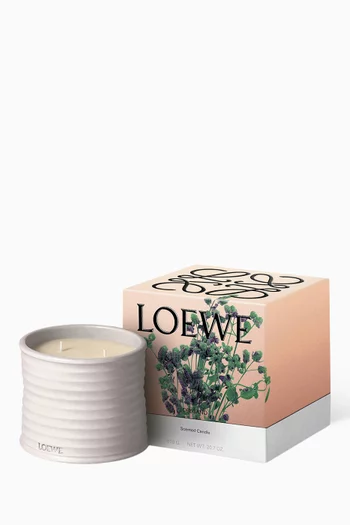 شمعة معطرة أوريغانو متوسطة، 610 غرام