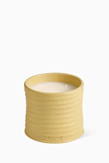 Medium Honeysuckle Scented Candle, 610g