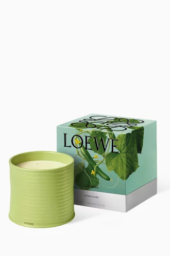 شمعة معطرة كيوكمبر كبيرة، 2120 غرام