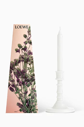 Oregano Wax Candleholder, 340g