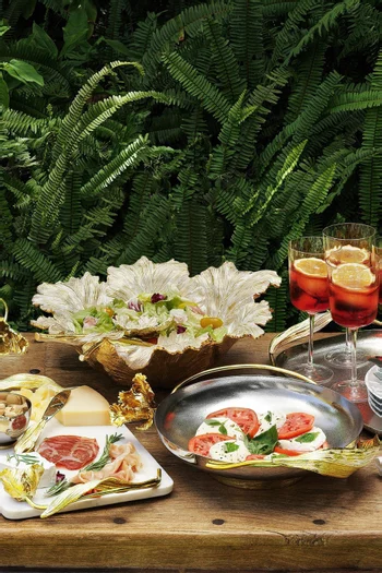 طبق توليب متوسط بقاعدة