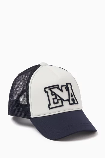 Embroidered EA Logo Baseball Cap in Jersey