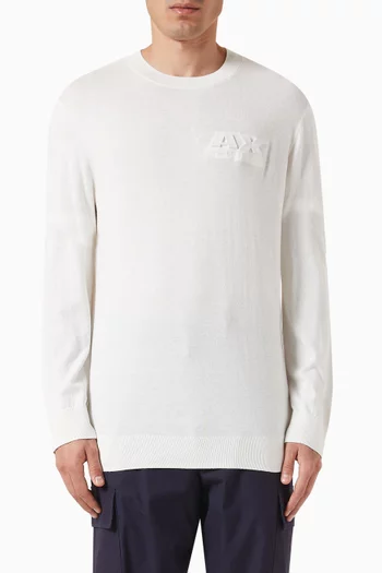 Digital Desert Logo Sweater in Cotton-blend