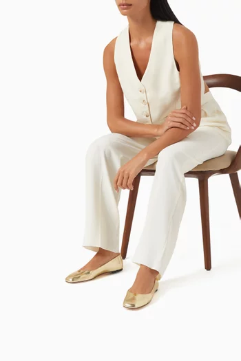 Briella Ballerina Flats in Leather