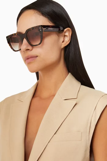 Square Sunglasses in Havana Acetate