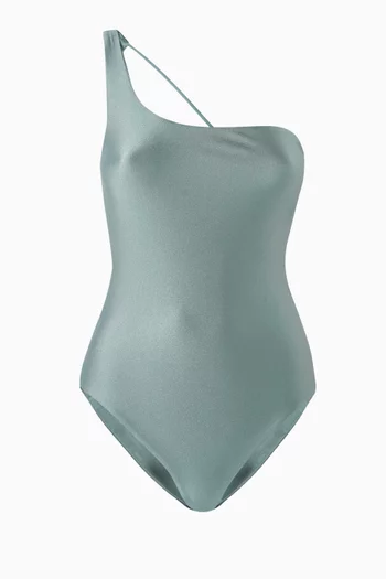 Apex One-piece Swimsuit in Stretch Nylon
