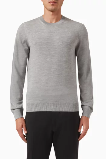 Crew Sweater in Merino Wool