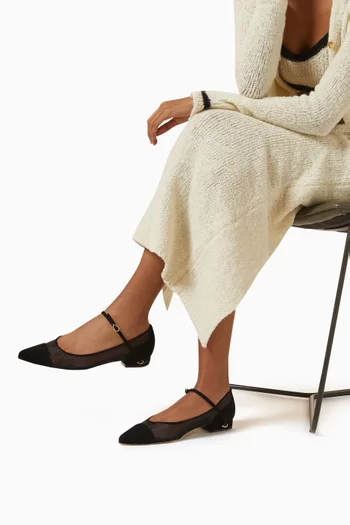 Lorenzo 20 Ballet Flats in Suede & Mesh