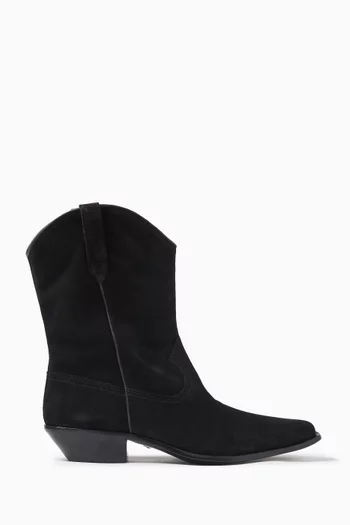 Western Boots in Suede