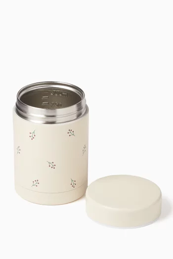 Thermos Food Jar