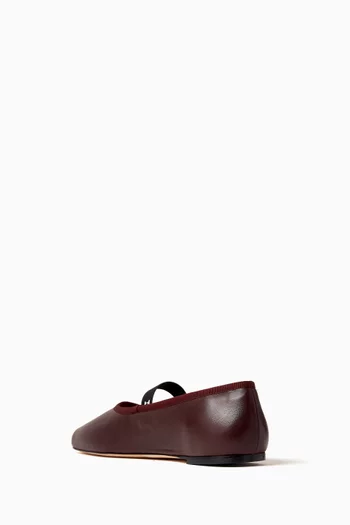 Lisbeth Ballerina Flats in Leather